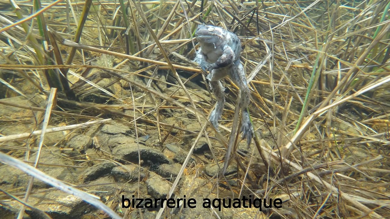 Ouverture lac de montagne 2012 au lac fourchu