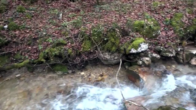 Peche de la truite au toc au ruisseau du chorolant partie intermediaire
