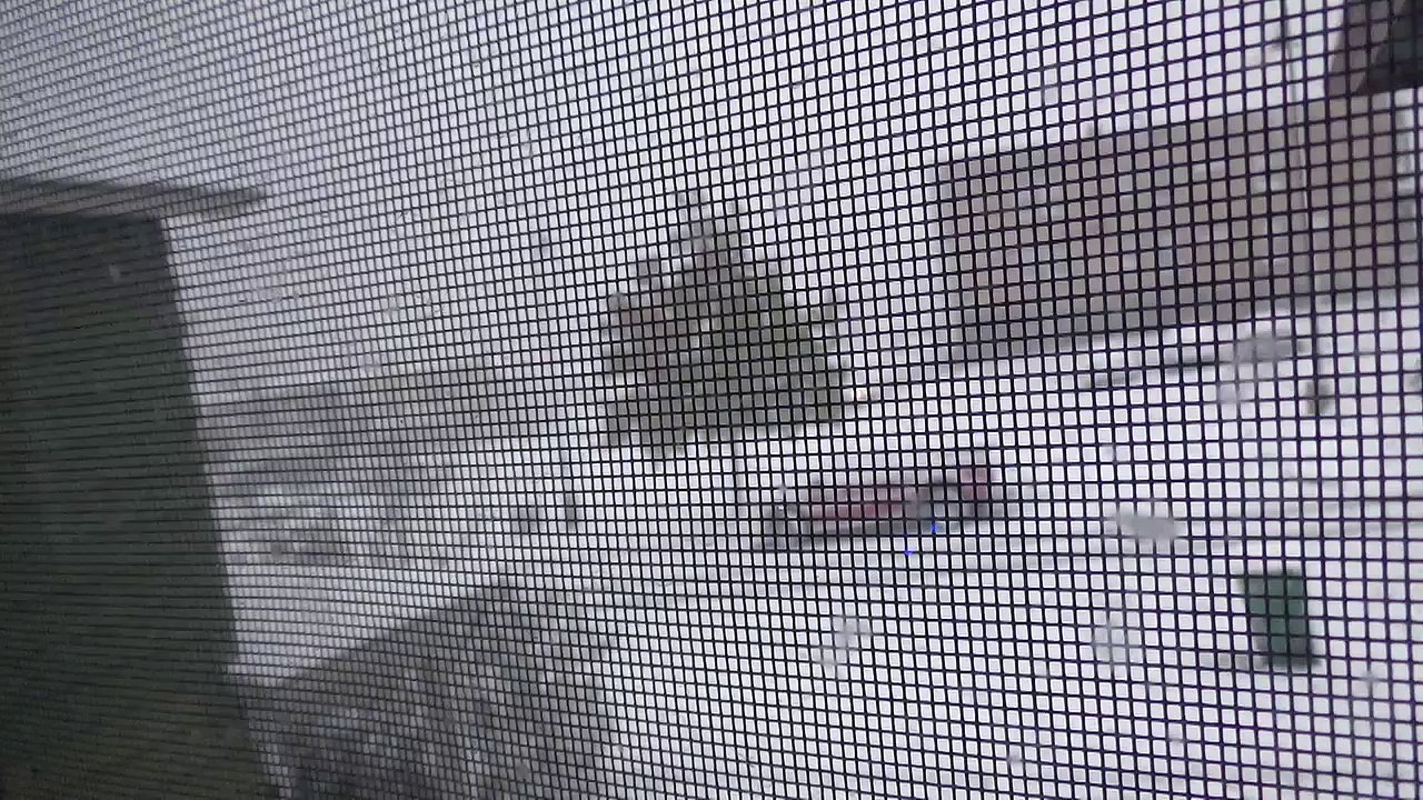 snow