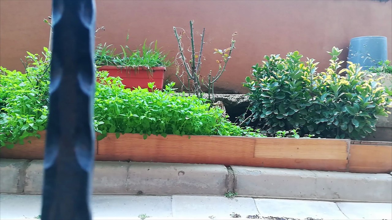 HUAWEI P10 LİTE KAMERA VİDEO  FOTOĞRAF TESTİ (CAMERA PHOTO TEST HUAWEİ