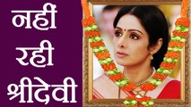 Sridevi passes away at age 54 in Dubai |  वनइंडिया हिंदी