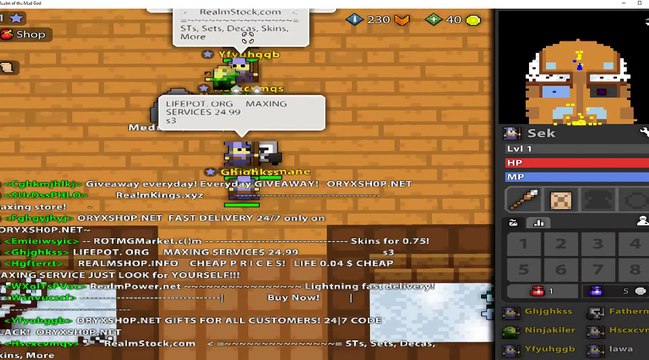 Realm of the Mad God Gameplay Steam PC