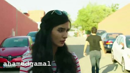 اغنية ياريتنى ماكنت حبيتك عمر واليف_
