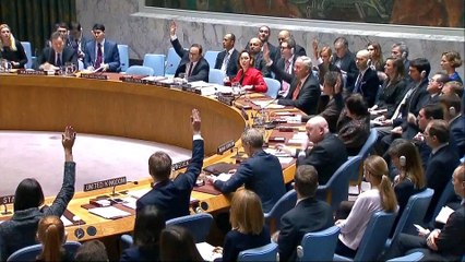 UN Security Council votes in favour of 30-day Syria ceasefire