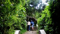 Travel Vlog I Dataran Tinggi Dieng I Wonosobo, Jawa Tengah, Indonesia