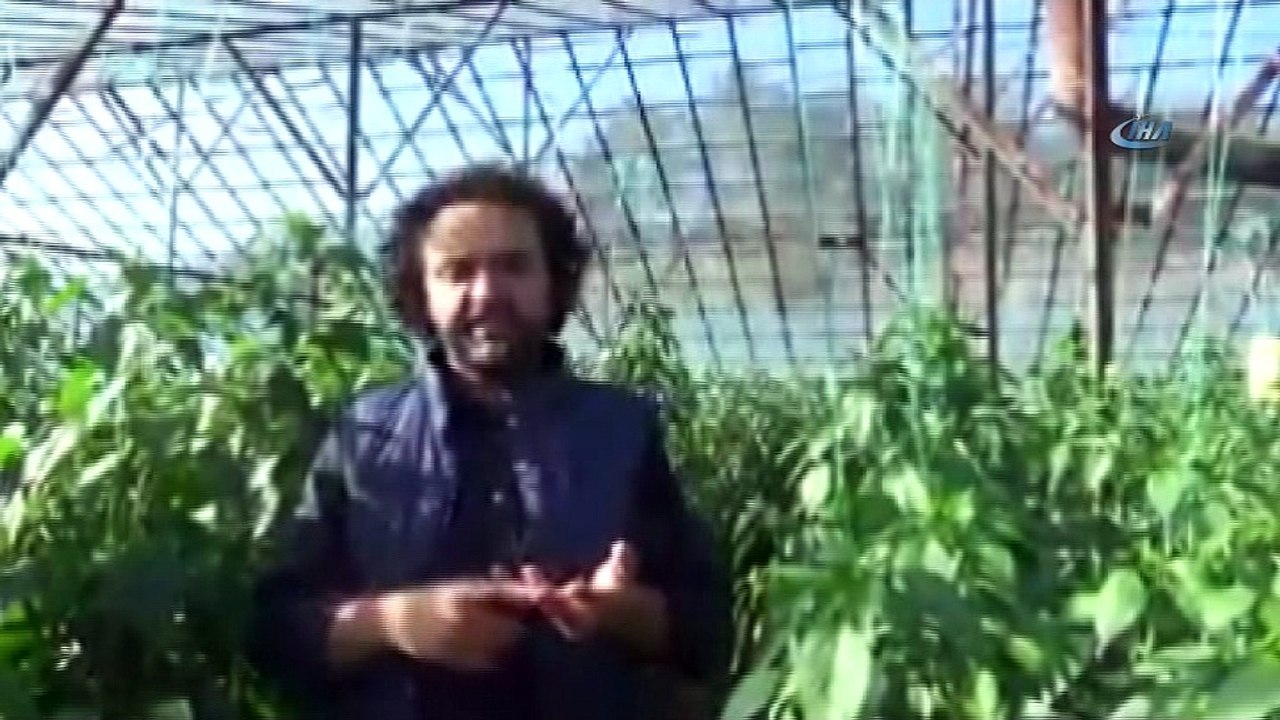 Sebze üretimiyle ilgili ironi videosu çeken öğretmen açığa alındı