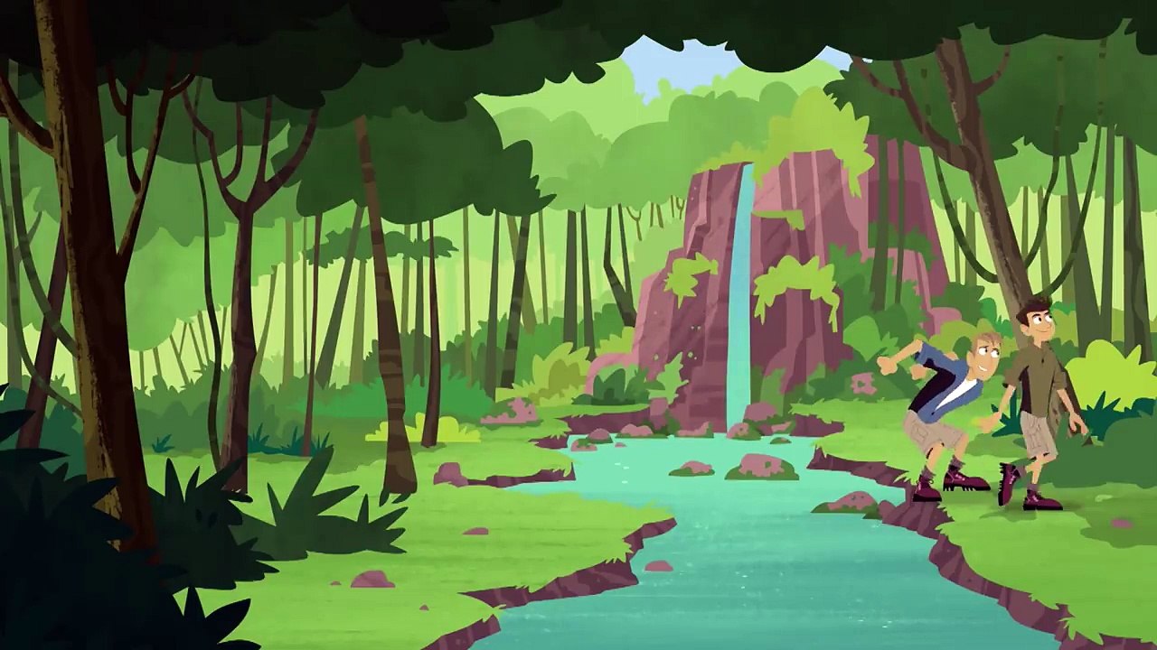 Wild Kratts - Beautiful Wild Birds - video Dailymotion