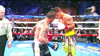 Top 25 Hardest Punchers In Boxing