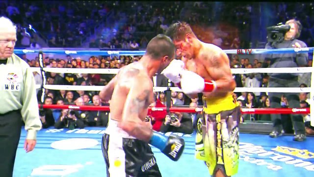 Top 25 Hardest Punchers In Boxing