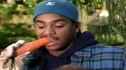 Bill Nye the Science Guy S02E06Food Web