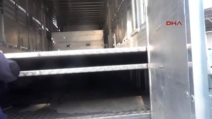 Aydın-Bu Araç Yürüyen Çiftlik Gibi