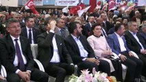 AB Bakanı Çelik -Salih Müslim'in yakalanması - ADANA