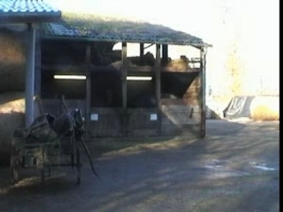 Cheval