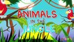 ANIMALS IN THE JUNGLE - kids rhymes - Kindergarten - Preschool Songs