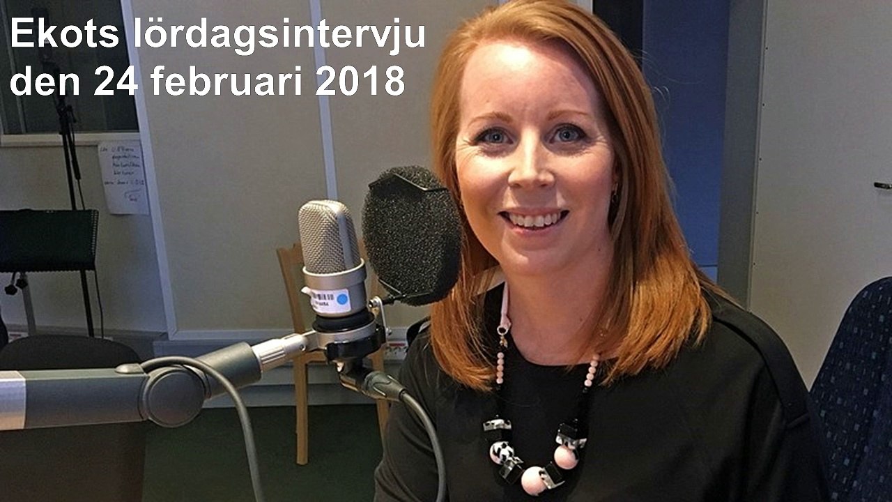 Annie Lööf i Ekots lördagsintervju feb 2018