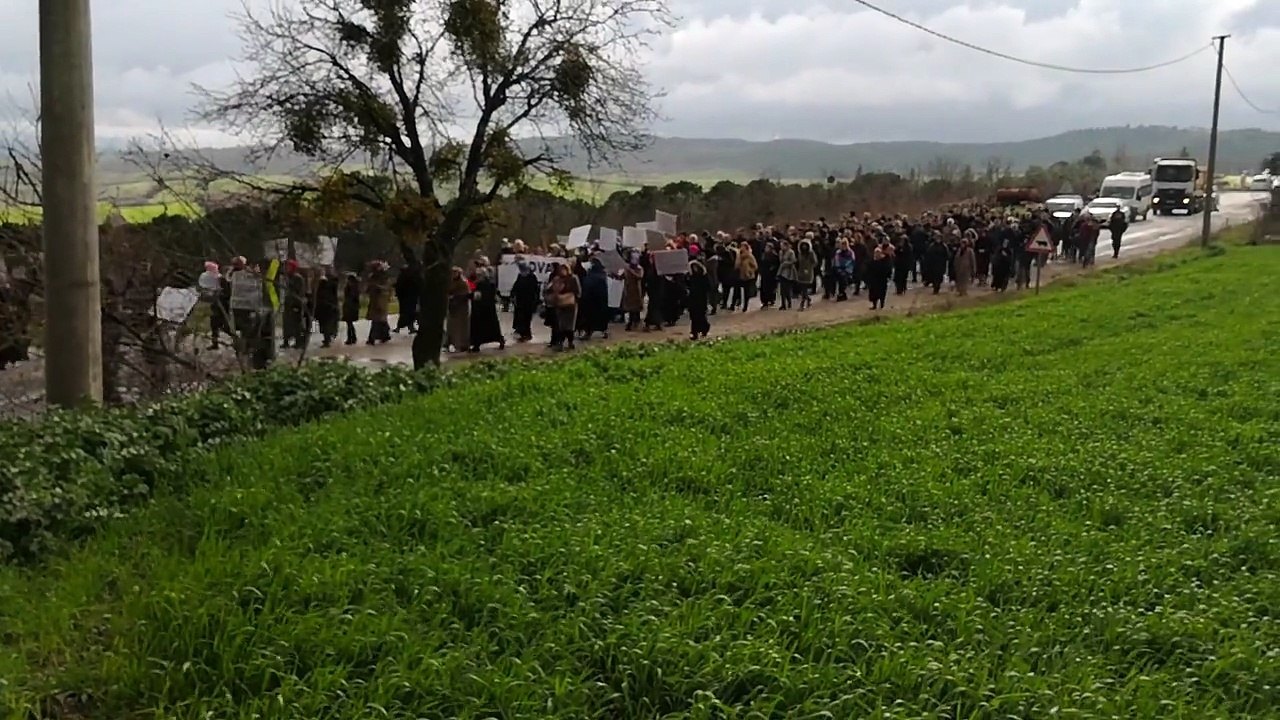 Bursa Biyokütle Elektrik Santrali Eylemi