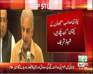Shahbaz Sharif criticize on Imran Khan