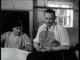 Alle meine Tiere - Das Picknick