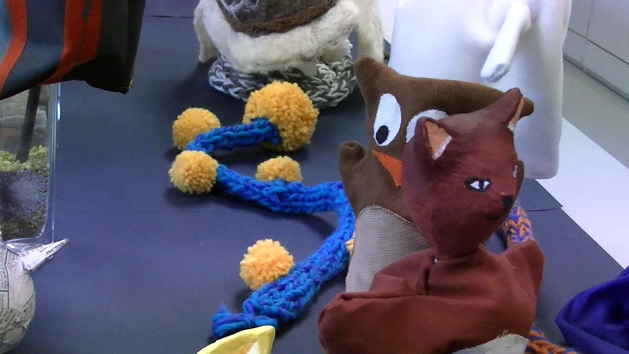 Tag der offenen TürBildungsanstalt für Elementarpädagogik