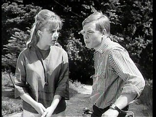 Alle meine Tiere - Der Graue