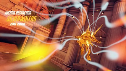 Año Lunar Overwatch Año del Perro 27