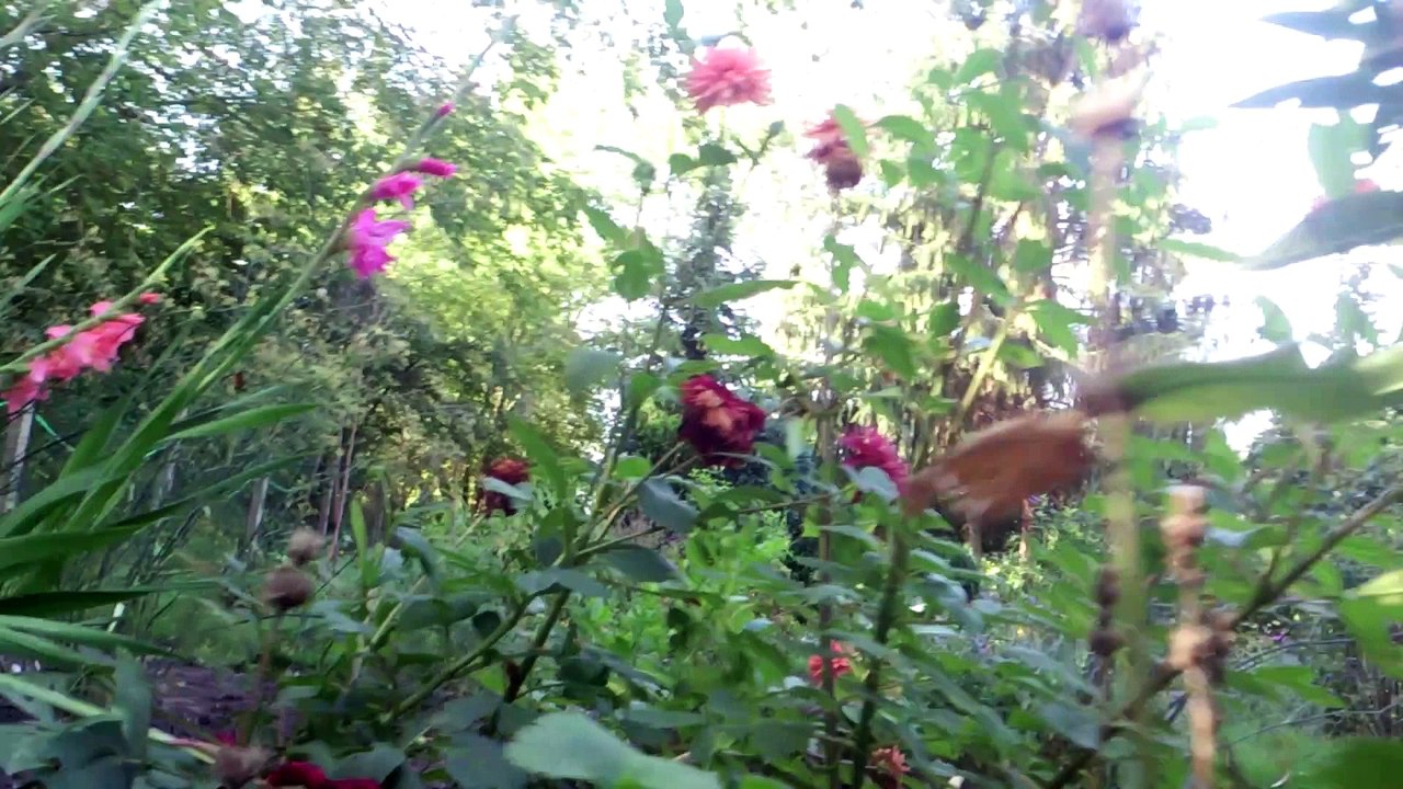 Gartenpirsch