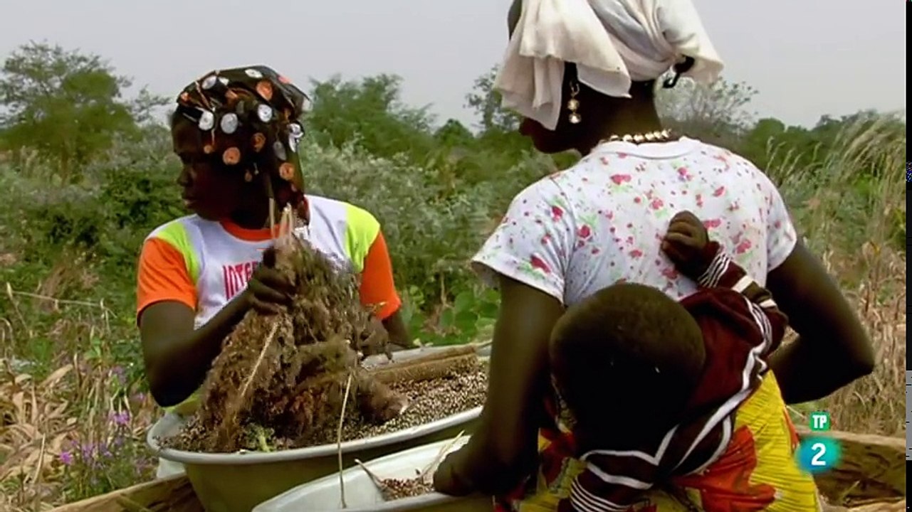La Tierra, un nuevo entorno natural - Documentales 2018