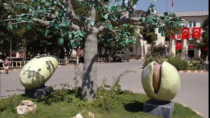 SİİRT UÇAK BİLETİ