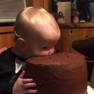 Gourmand, ce bébé mange le gateau la tête dedans !