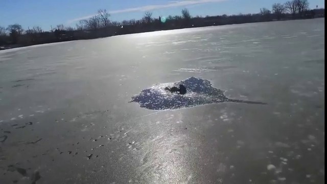 Il s'enfonce dans un lac gelé en motoneige ! Quel imbécile...