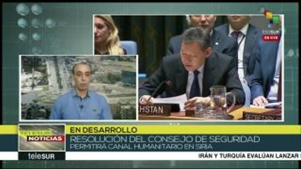 Consejo de Seguridad de ONU aprueba tregua de 30 días en Siria