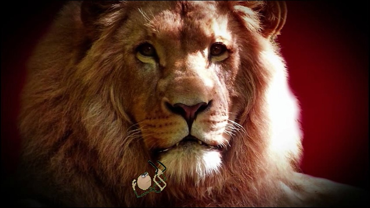 Stickman Dancing - Animation Combined With Live Footage - VSDC Video Editor