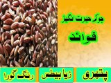 jo ka fayde | barley water benefits in urdu ever |  جو کے فائدے | Jo Ka Atta and Dalia ke Fawaid