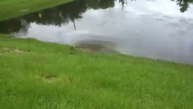 3 dolines sont en train de vider un lac... Glissement de terrain et sinkhole