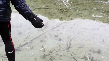 Ce patineur voit les poissons passer sous ses pieds à travers la glace du lac gelé... Joli