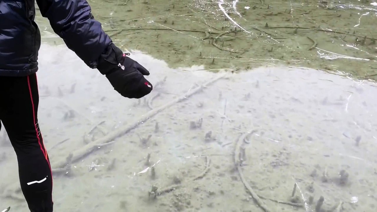 Ce patineur voit les poissons passer sous ses pieds à travers la glace du lac gelé... Joli