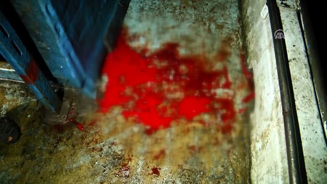 İsrail'den Gazze'de balıkçılara saldırı - GAZZE