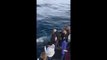 Playful Whale Blows Water Out of its Blowhole at Tourist in Fort Bragg