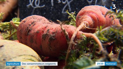 Agriculture : des consommateurs exigeants