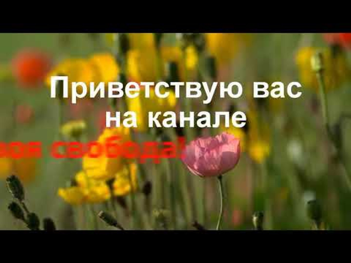 Приколы 2018