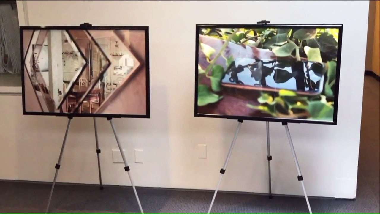 Guggenheim Museum in New York Helps Man Propose to Girlfriend