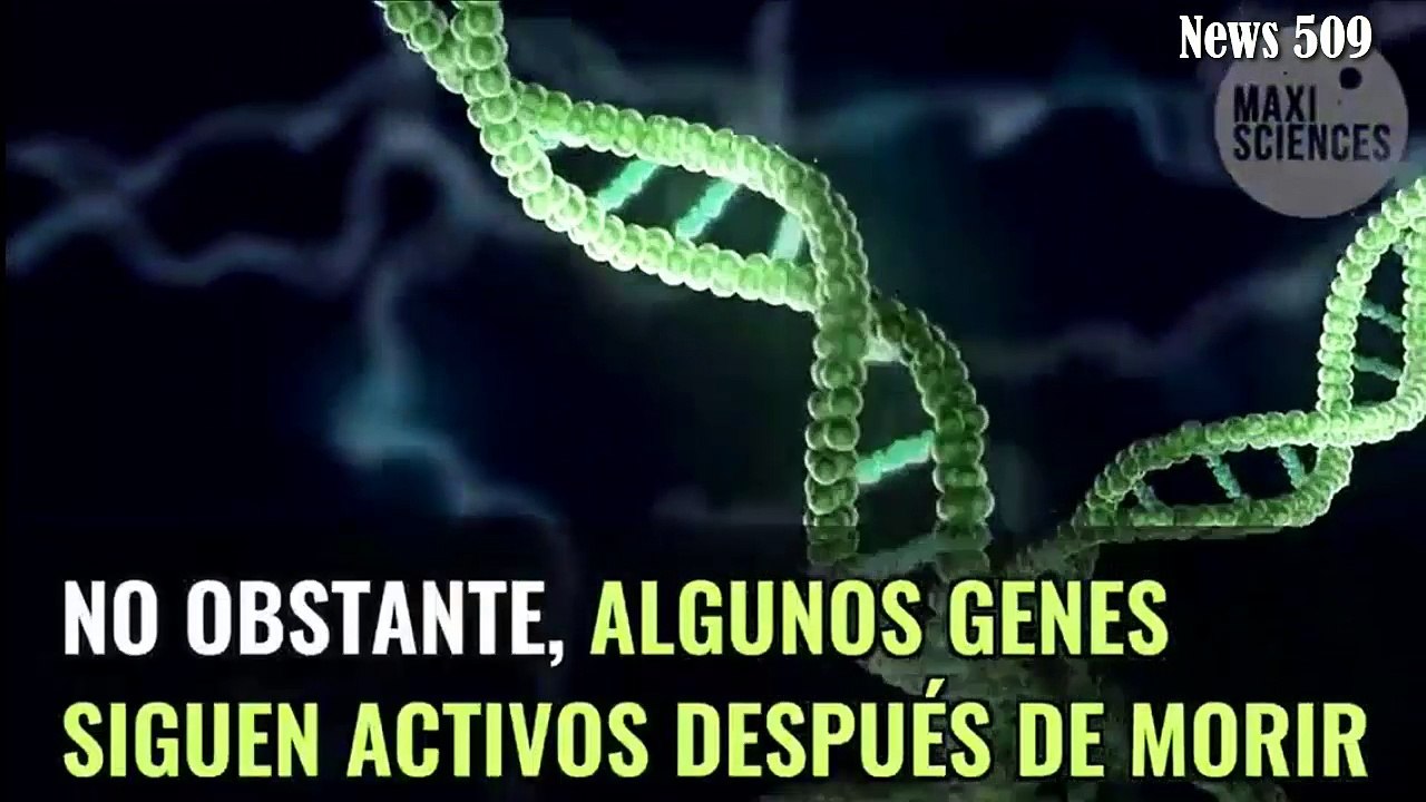 Tus genes pueden predecir la hora a la que vas a morir