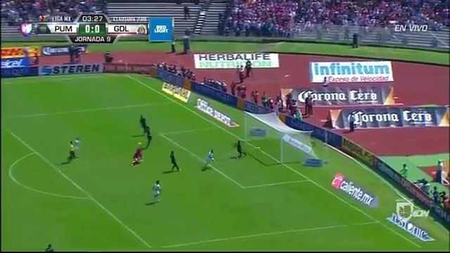 Pumas UNAM vs Chivas Guadalajara 1-1 Alll Goals & Highlights
