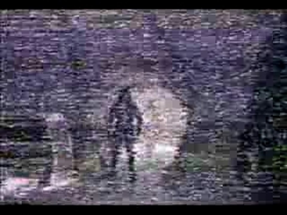 UFO - The Travis Walton Story - Part 2 of 2