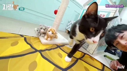 ยงกุกทาสแมว SS2 ep.1