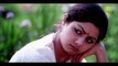 Sridevi is no more || Sridevi Death Mystery || Heroine Sridevi Died || 5nmedia || Telugu Latest News