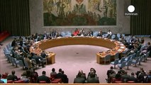 UN Security council backs Libya unity government