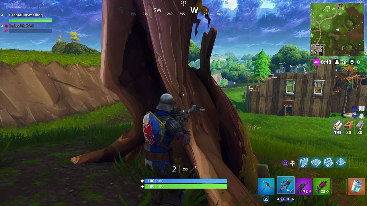 2 nice kills with a bow