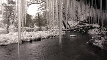 Beautiful 10-ft icicles form in Cumbria riverside
