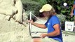 Sand sculptures stun beach-goers in Florida Keys